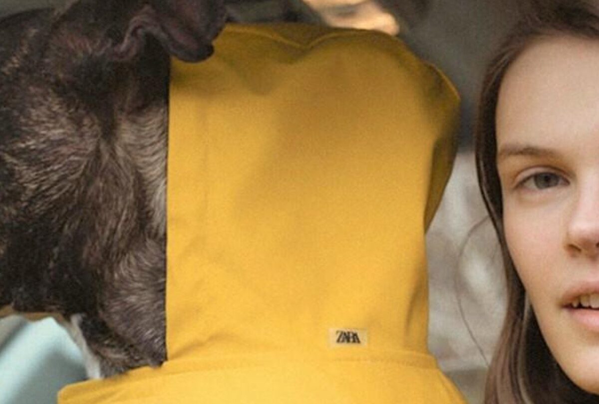 Zara lanza Pet Collection ropa y accesorios para perros |