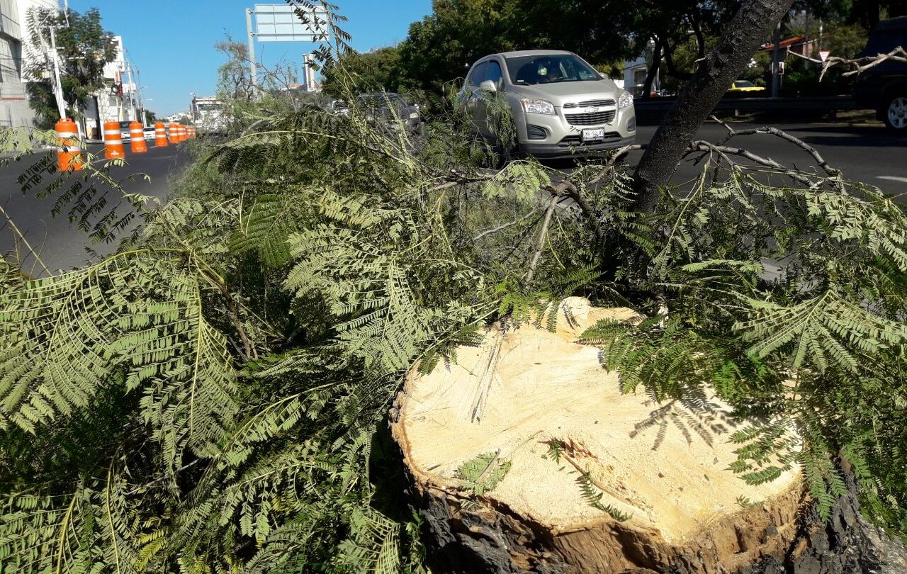 Agenda ambiental  exigen a futuros ediles |