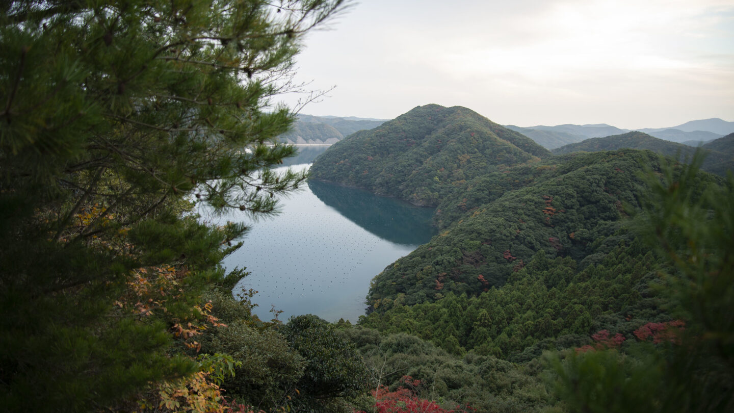 Tsushima