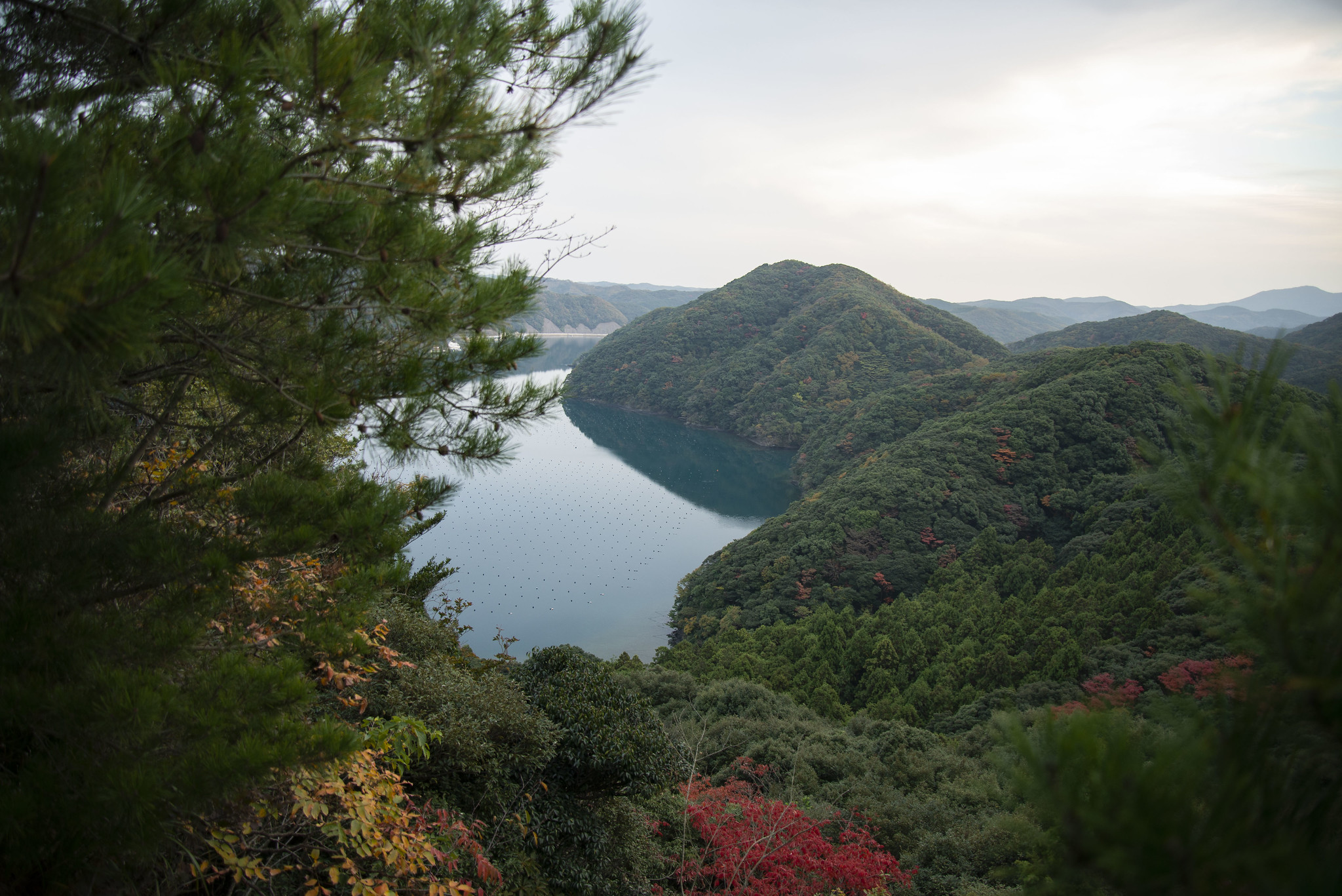 Tsushima