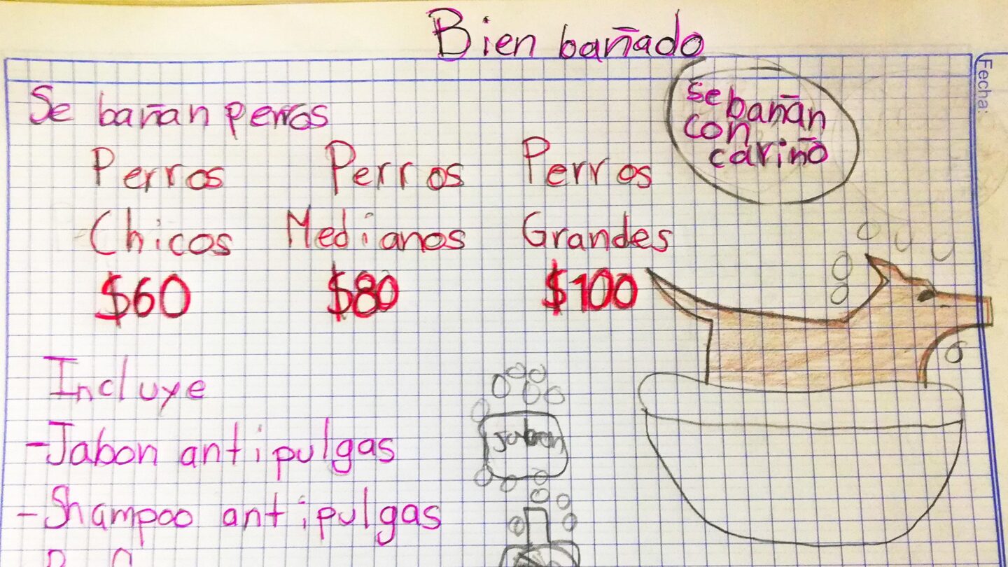 Niño baña perros para ahorrar y pagar su carrera de veterinario |