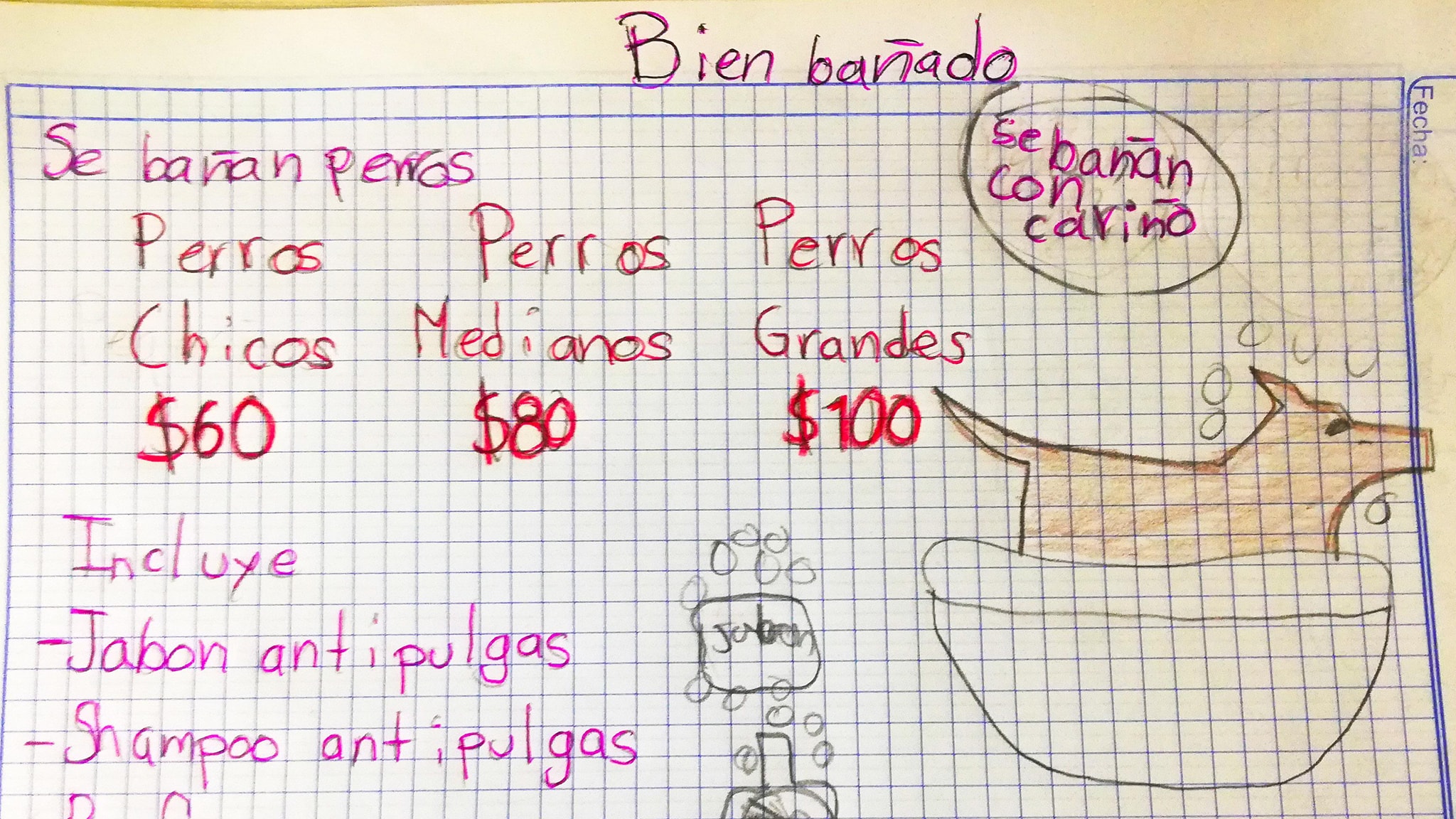 Niño baña perros para ahorrar y pagar su carrera de veterinario