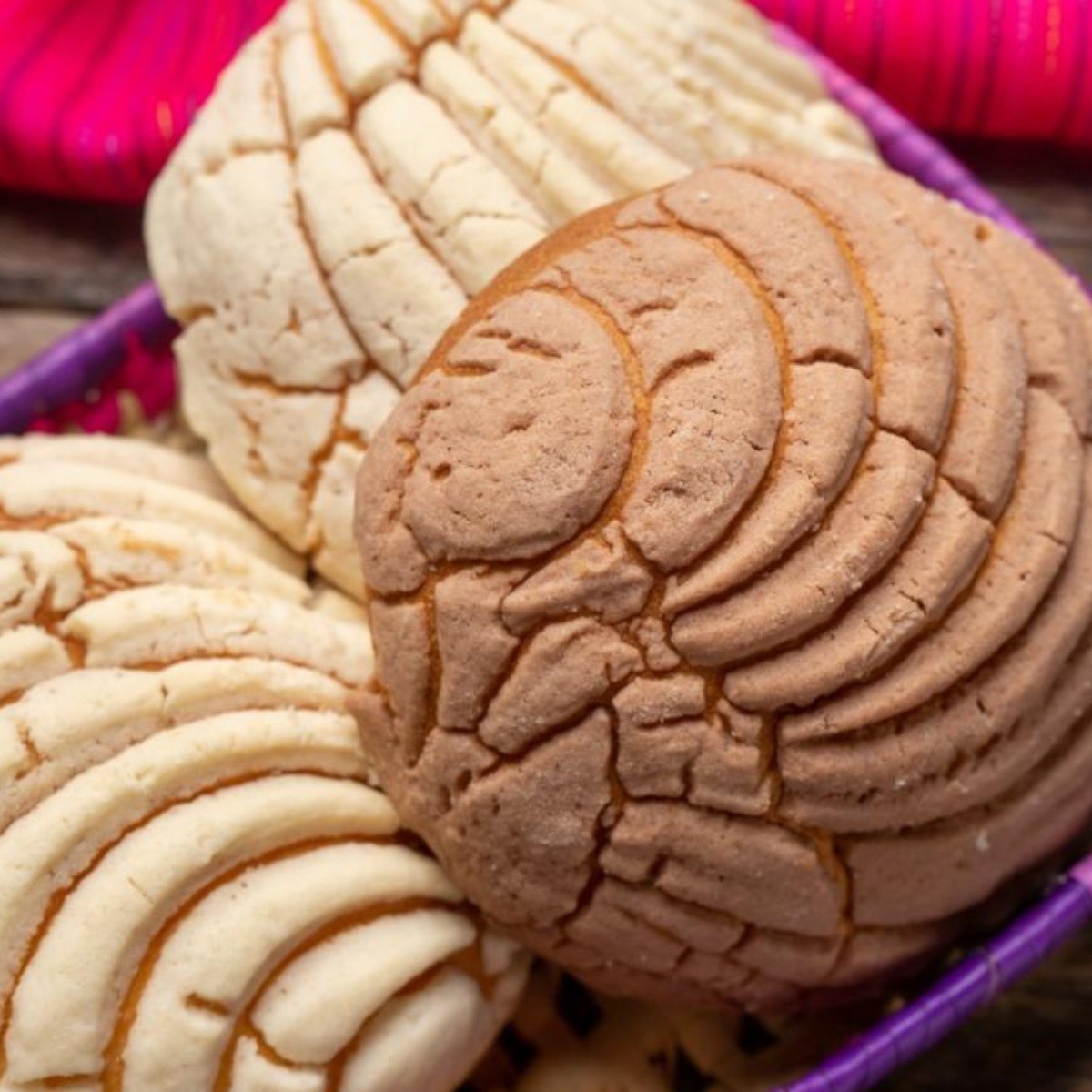 Conchas de pan dulce mexicano con receta casera fácil y rápida