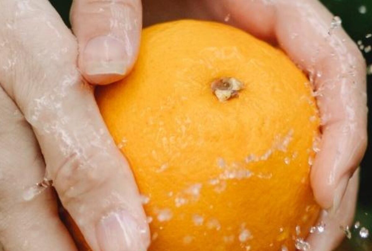 Cómo conservar las naranjas frescas para que duren mucho tiempo |