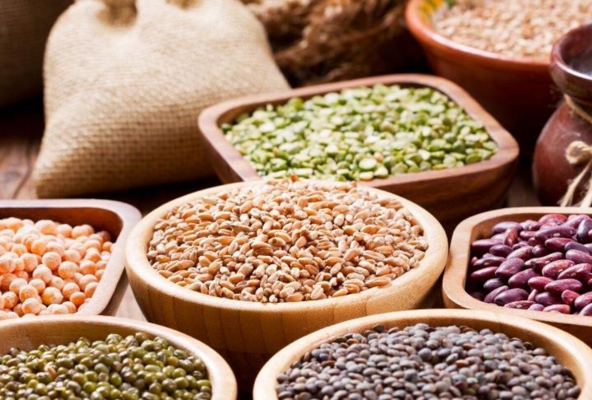 Qué tipo de granos produce Egipto y cómo es su agricultura actual |