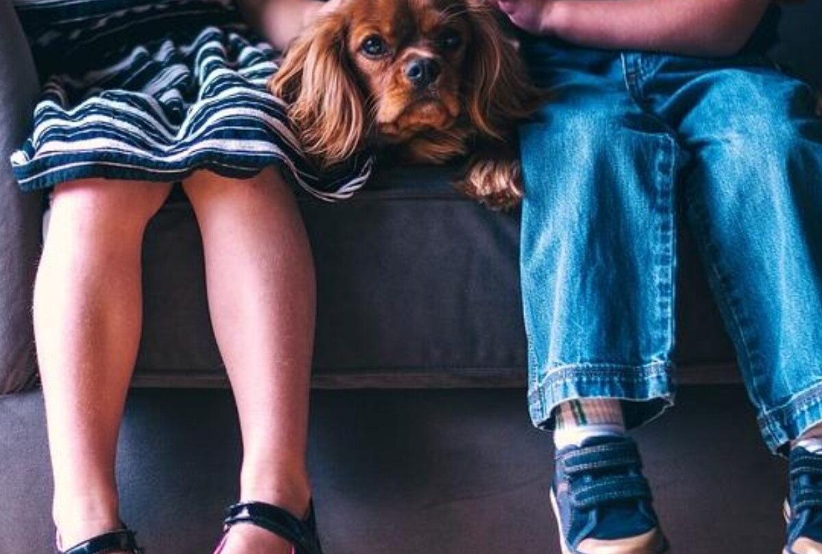 Consejos sobre cómo elegir a la mascota adecuada para tu casa |