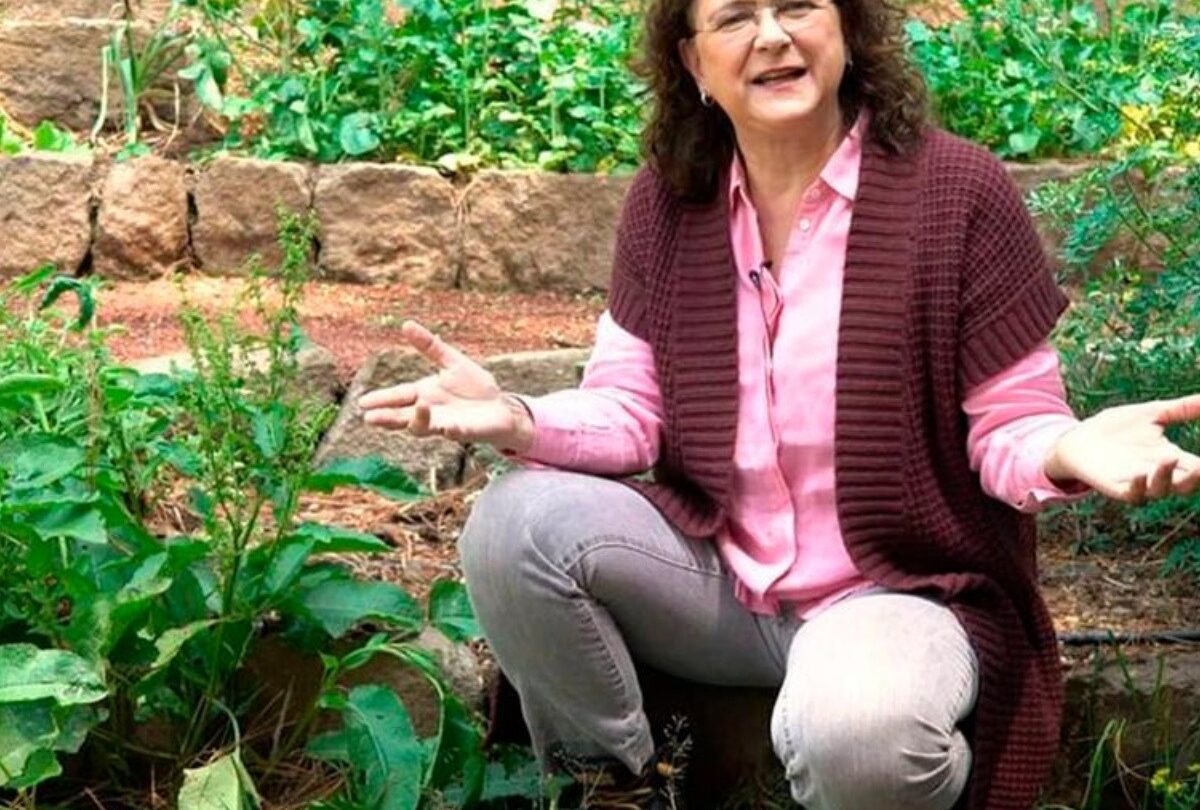 Se te antoja una paella Prepárala con una deliciosa receta de Sonia Ortiz |