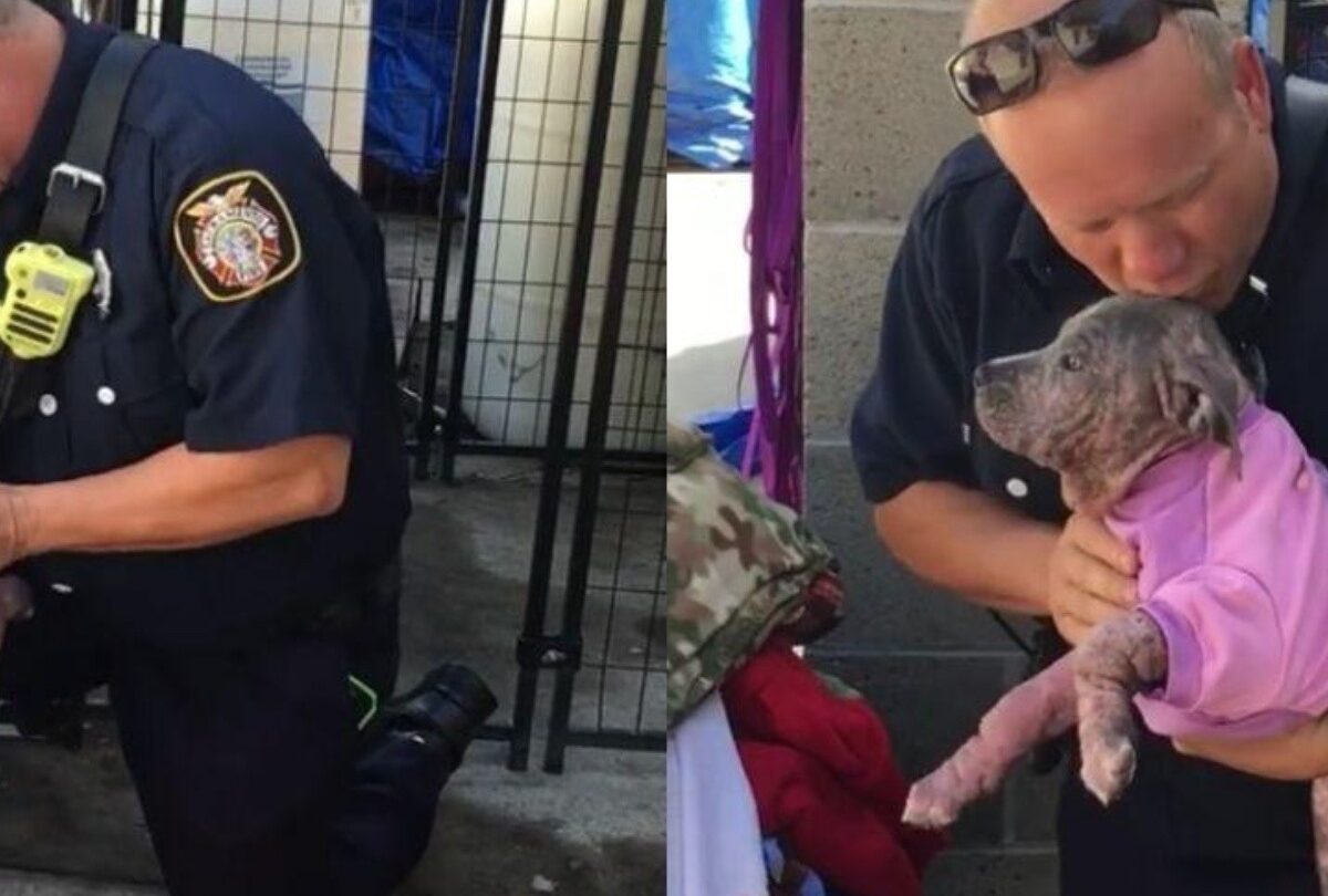 Bombero salva a una Pitbull amarrada a un árbol y luego la adopta |