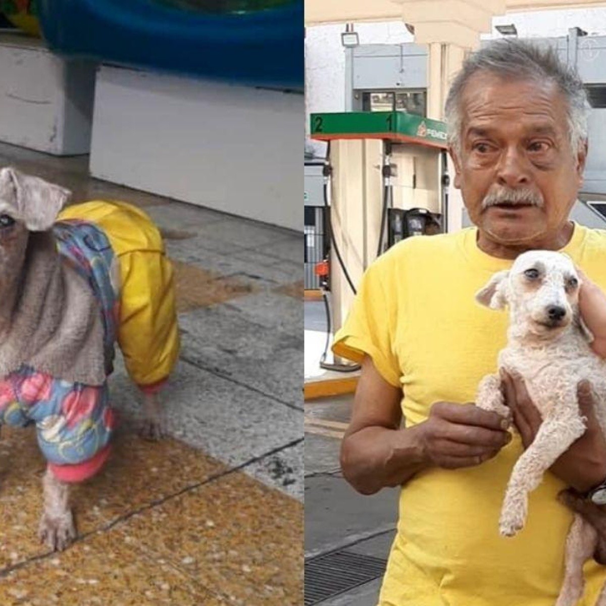 Señor que vende dulces en la calle recupera a su perrito que creía perdido