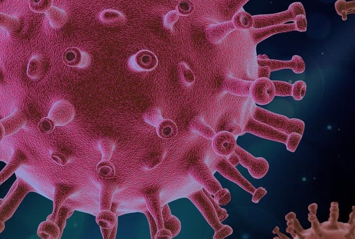 Alerta científico sobre abuso de antibióticos y biocidas por pandemia |