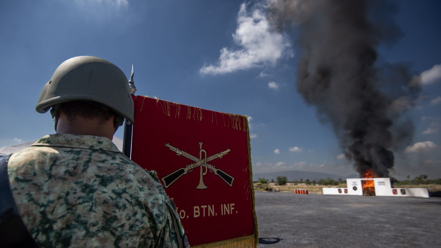 Ejército mexicano y FGR incineran 461 kilos de narcóticos en Nuevo León en medio de ola de violencia |