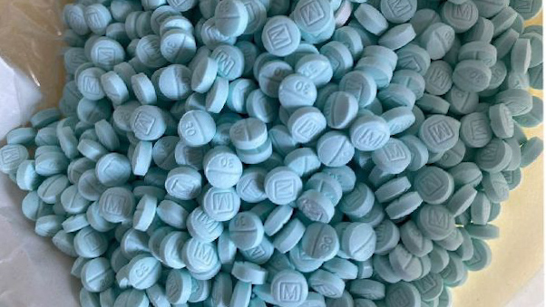 Aseguran más de 300 mil pastillas de fentanilo en operativo en Tijuana, Baja California