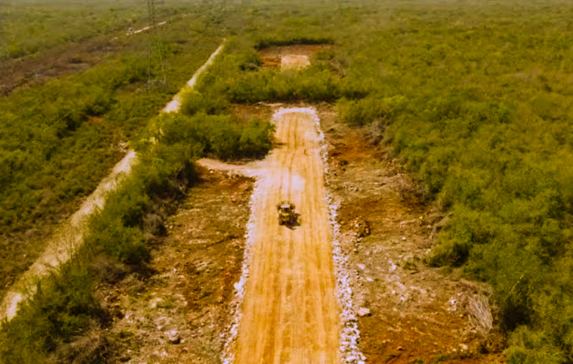 Construcción del Tren Maya derriba más de 10 millones de arboles