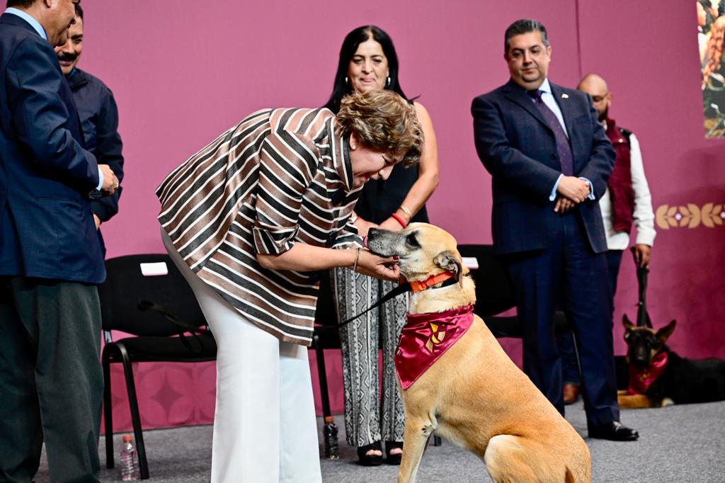 Lanza Gobernadora Delfina Gómez programa de rescate de animales de compañía en situación de calle en el Estado de México