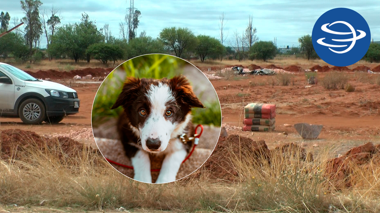 Avanza la construcción del centro de control canino y felino en Fresnillo, Zacatecas