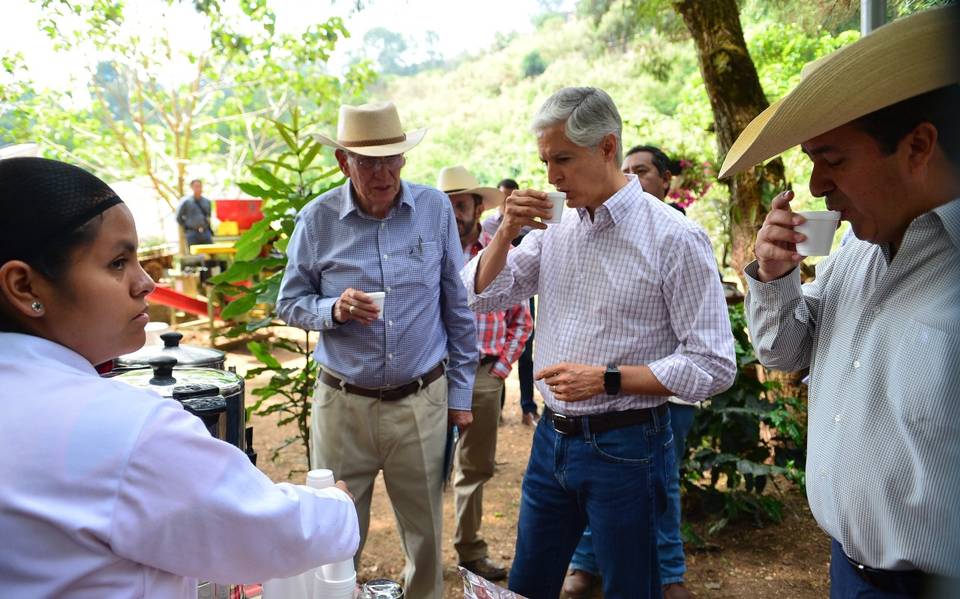 BUSCA EDOMÉX OBTENER DENOMINACIÓN DE ORIGEN DE PLANTA CRIOLLA DE CAFÉ DE REGIÓN SUR