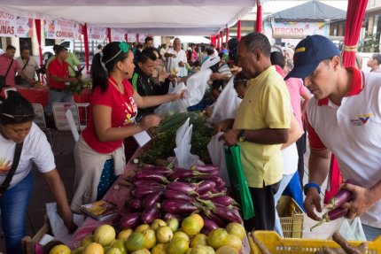 Campaña Venezuela Libre de Transgénico dispuesto a sustituir importaciones de algunos rubros