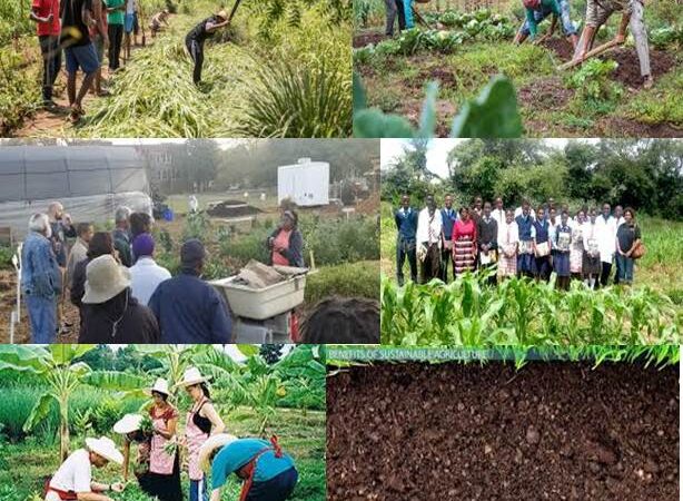 Capacitaciones en emprendimiento agrícola para crear productos a base de cultivos tradicionales