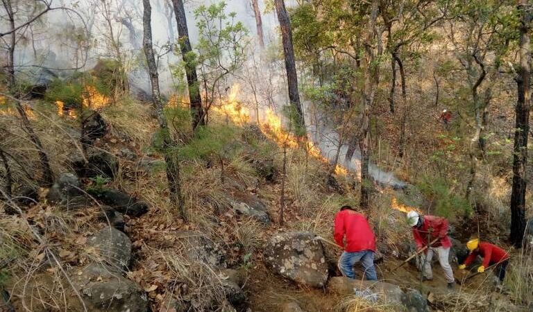 CONTROLAN INCENDIO FORESTAL EN VALLE DE BRAVO