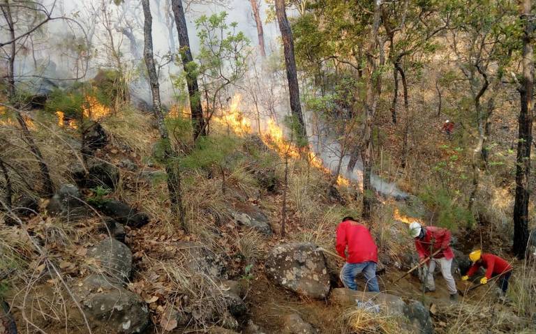 CONTROLAN INCENDIO FORESTAL EN VALLE DE BRAVO