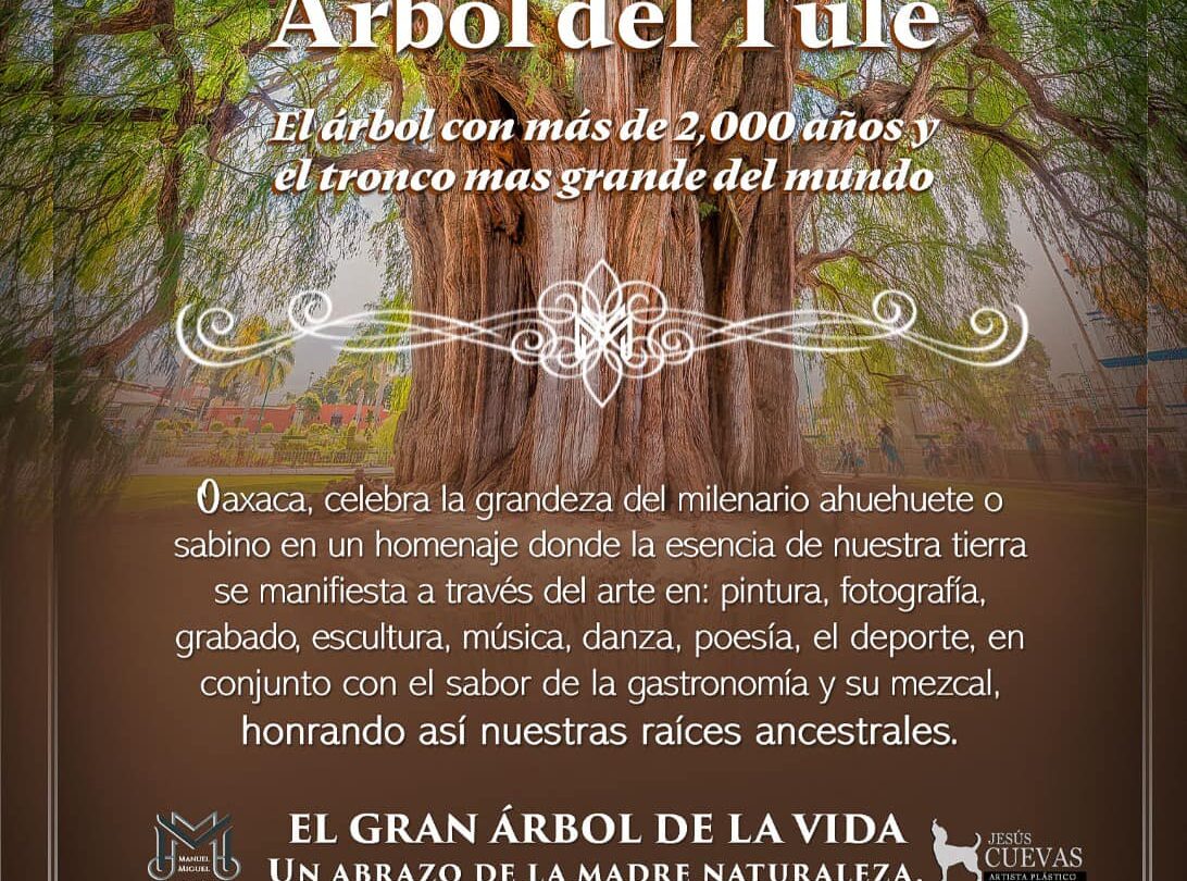 El Festival Internacional del Árbol del Tule Celebrando la grandeza de un majestuoso patrimonio natural |