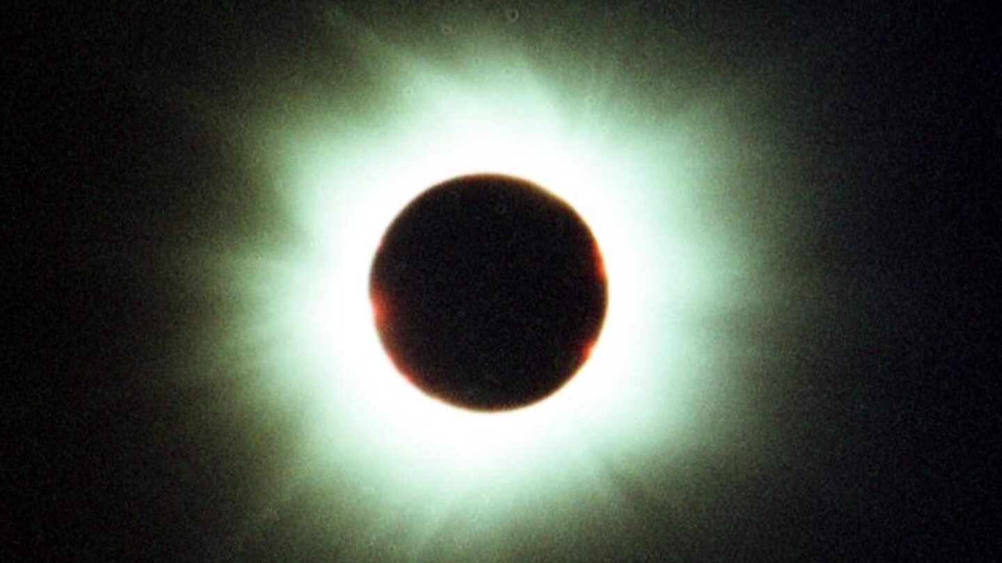 El misterio de los eclipses por qué desconciertan a los animales |