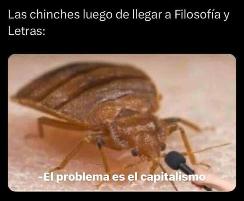 El poder de los memes: la respuesta ante la falta de solución real al problema de las chinches en la UNAM