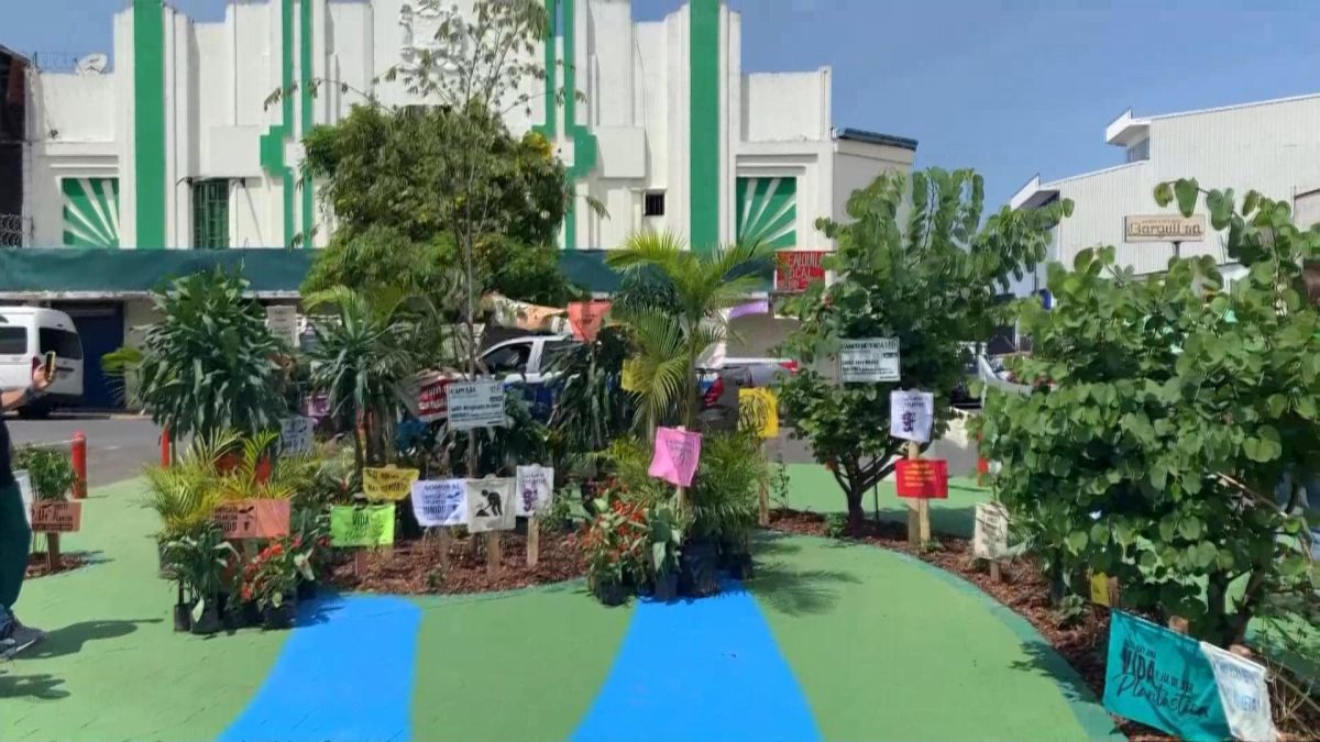 Embelleciendo la ciudad: Arte y jardines en zonas verdes para promover la apropiación de los espacios públicos en San José