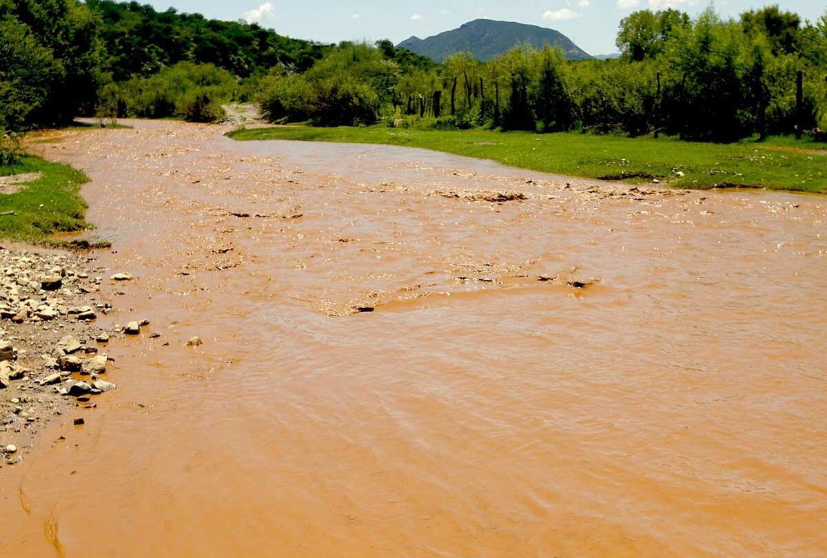 Grupo México niega responsabilidad en la contaminación del río Sonora y cuestiona informe de Semarnat |