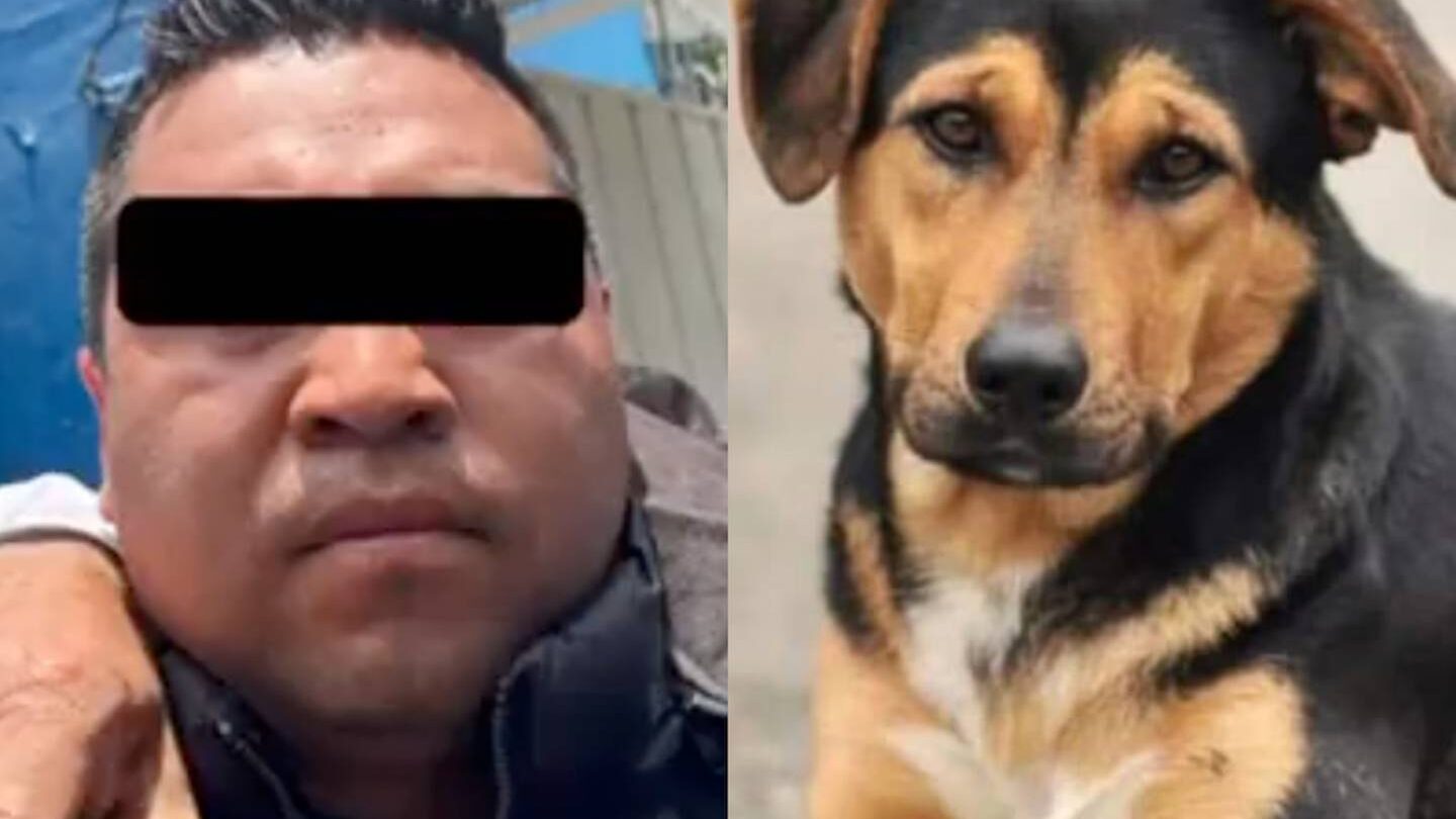 Hombre condenado a más de 5 años de cárcel por arrojar a un perro a un cazo hirviendo en Tecámac Edomex |