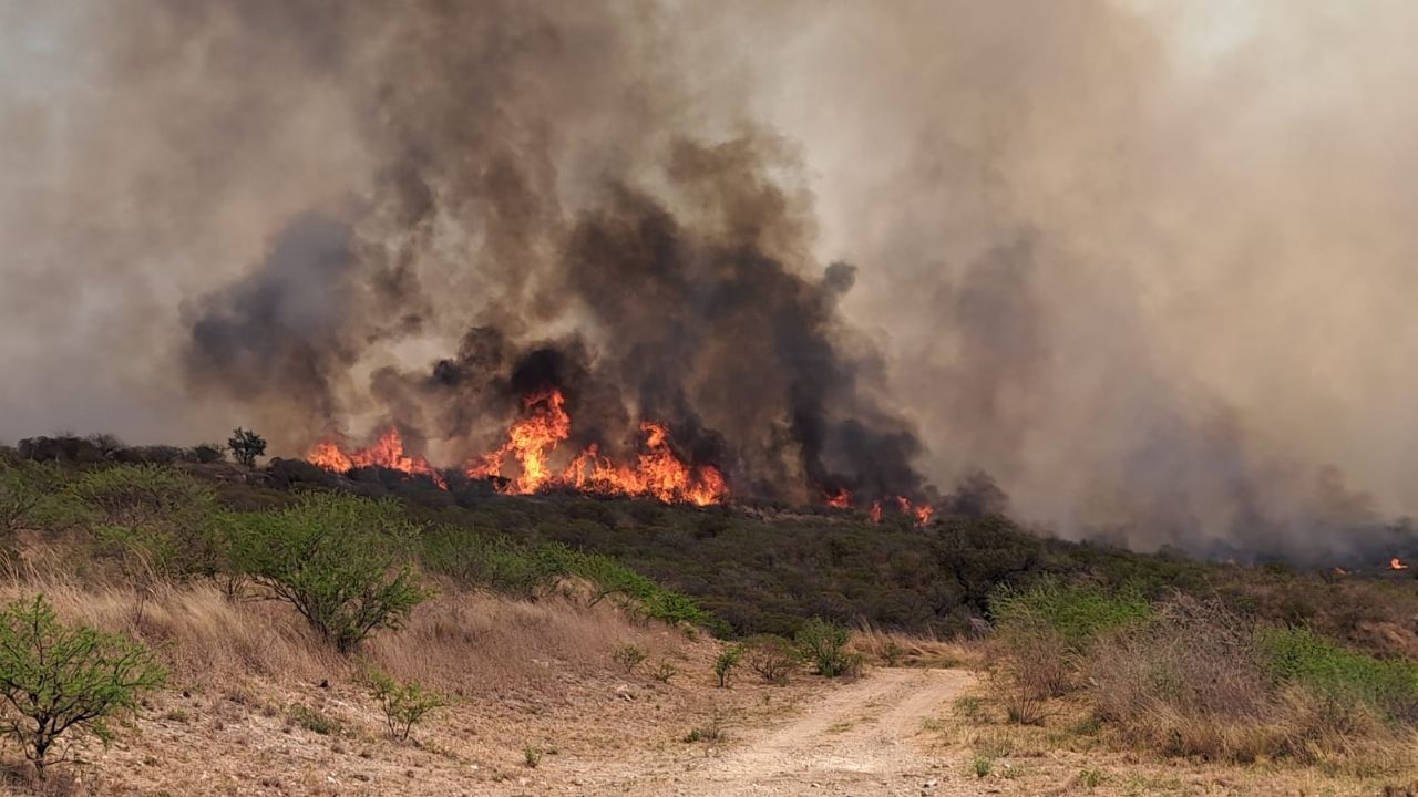 Incendios forestales en Córdoba: Desalojos y esfuerzos por contener el fuego