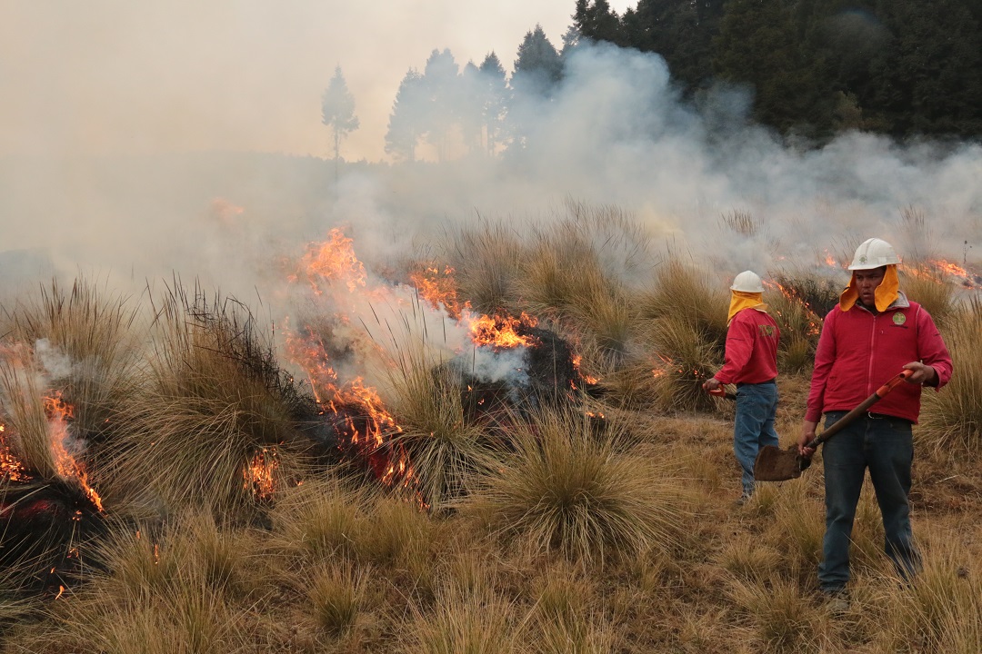 INICIA PROBOSQUE OPERATIVO DE SEMANA SANTA CONTRA INCENDIOS FORESTALES