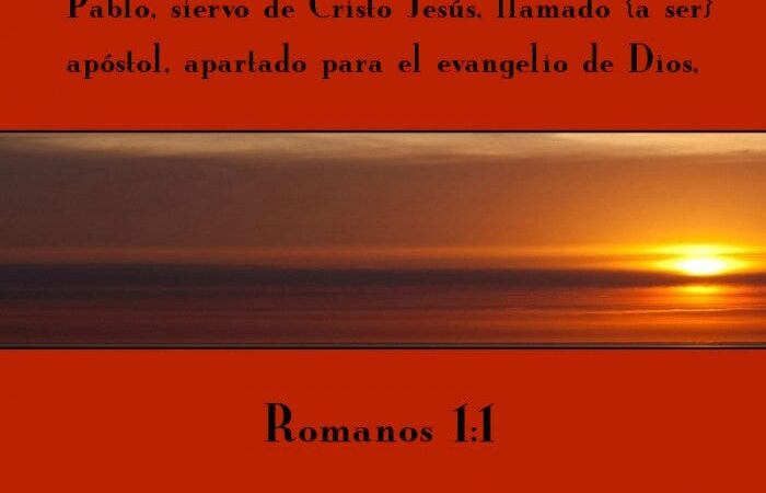 La responsabilidad de ser siervos en la viña de Dios