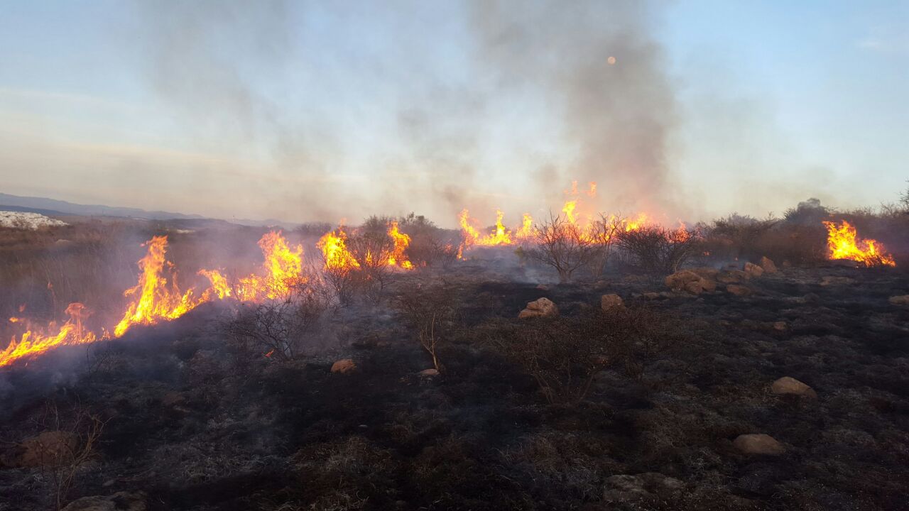 Más de 100 incendios en lo que va del año, en Querétaro