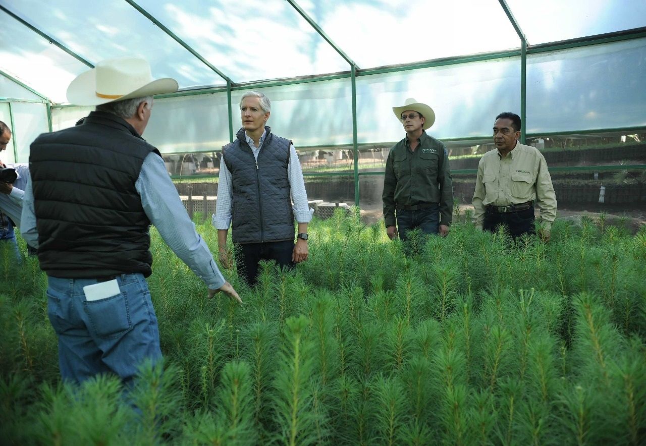 REALIZA GOBERNADOR GIRA DE TRABAJO EN MUNICIPIOS CON PRODUCCIÓN FORESTAL E INDUSTRIA MADERERA