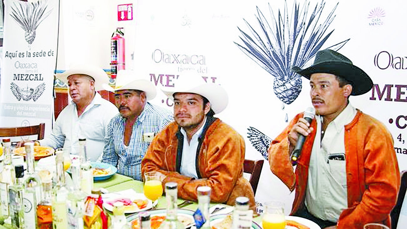 Realizarán encuentro de mezcal en Querétaro