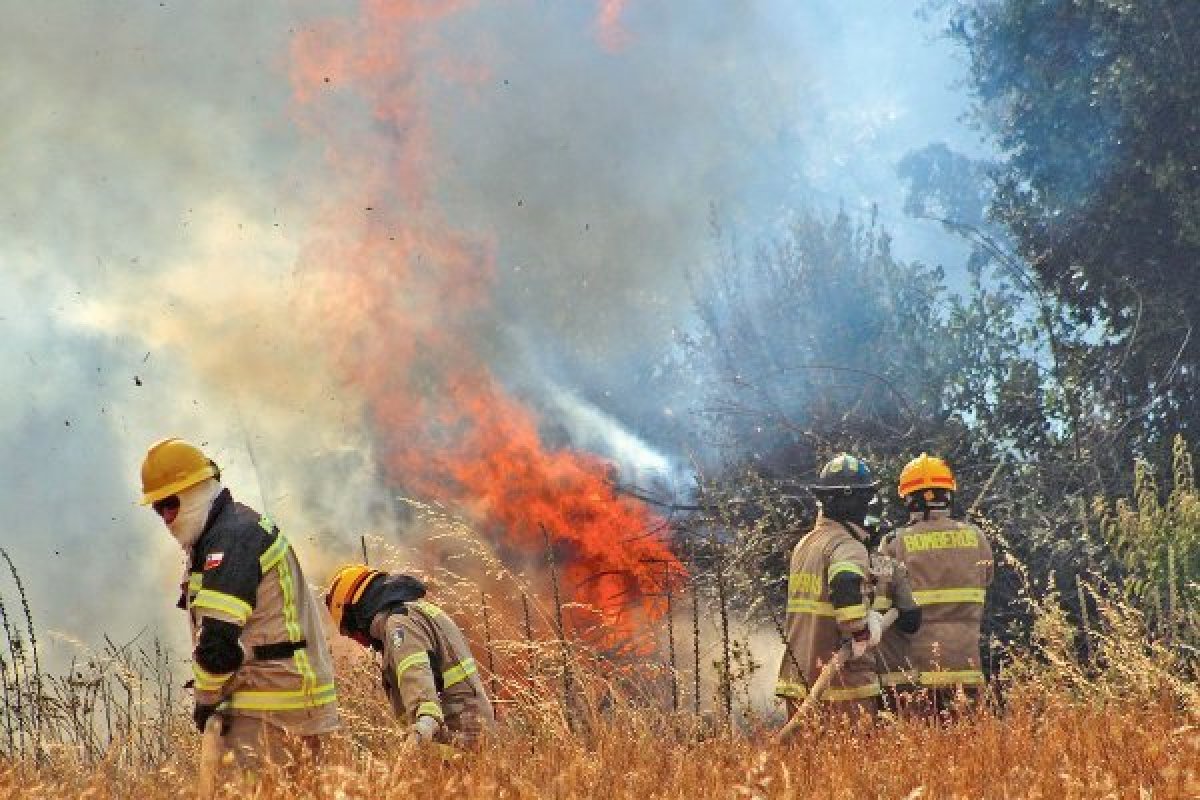 Toman medidas contra incendios forestales; van 71 por temporada de calor