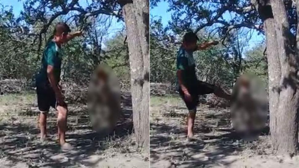 VIDEO: Adolescente atado a un árbol es golpeado