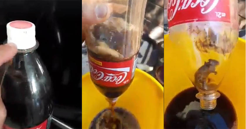 VIDEO: Encontró una rata dentro de su botella de Coca-Cola