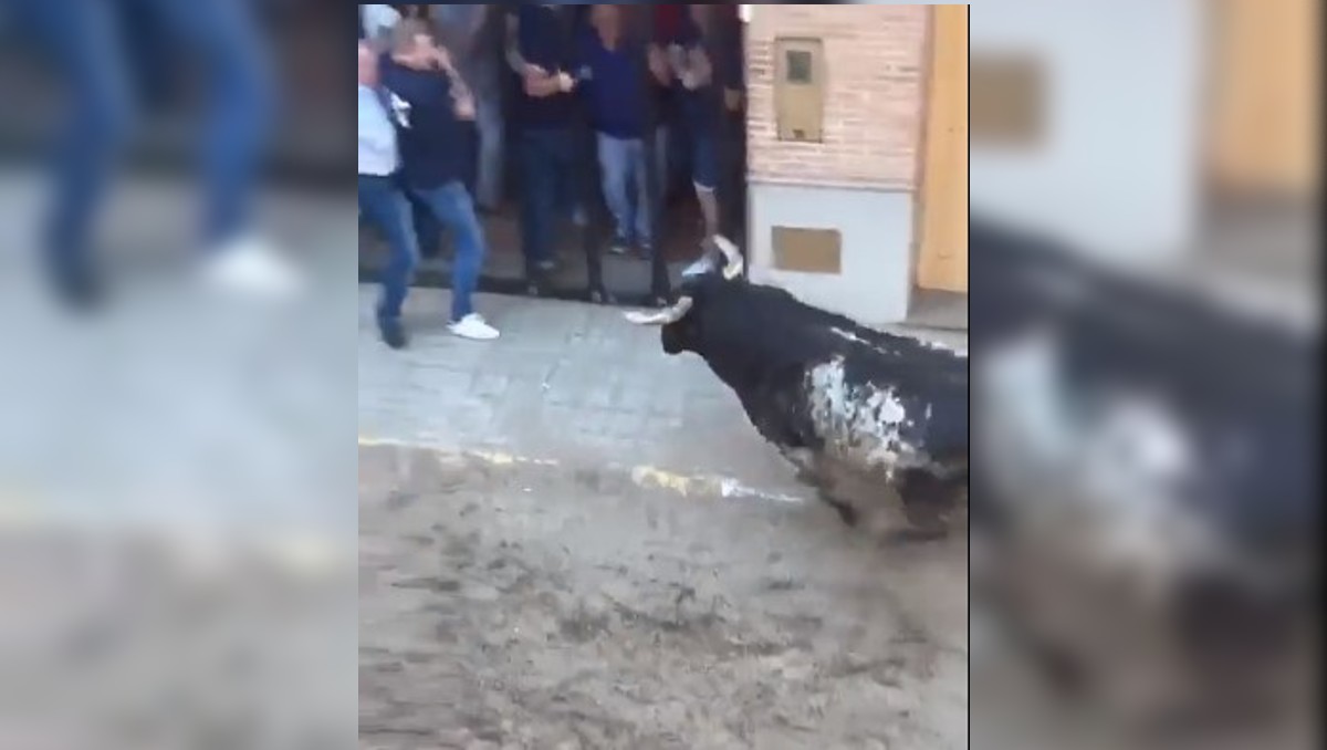 VIDEO: Hombre muere al ser atacado por un toro durante celebración