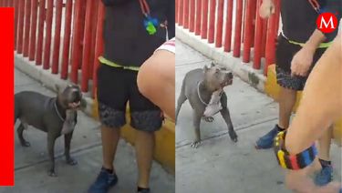 A través de un video exhiben a mujer que agrede a un perrito