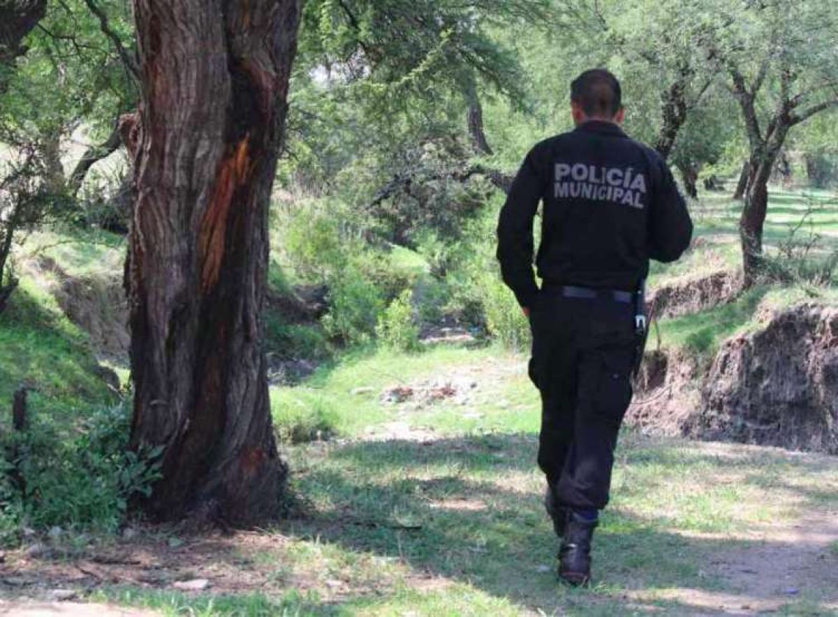 Abandonan dos cráneos en cajas en Toluca