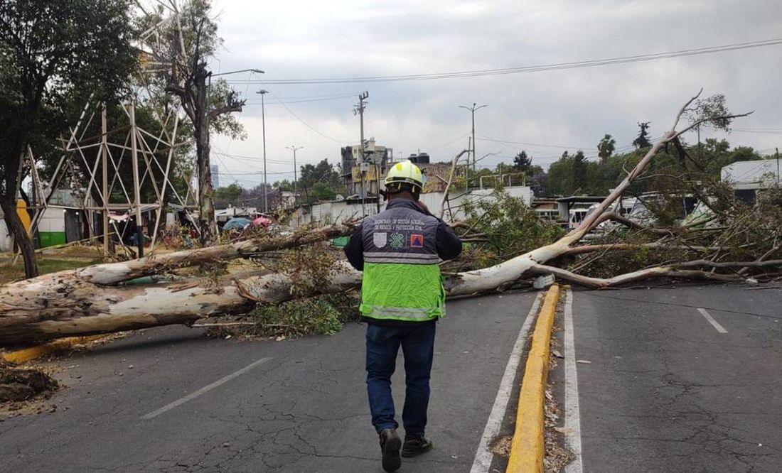 Activan alerta por fuertes vientos en CDMX