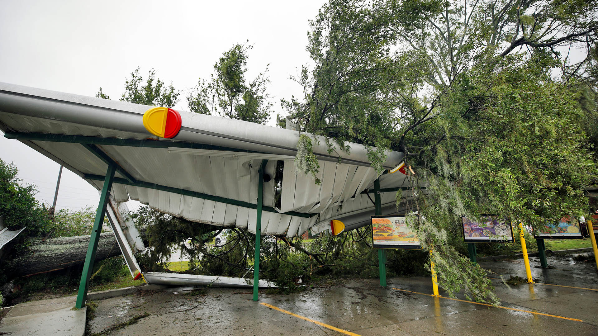 Al menos cinco personas murieron víctimas del huracán Florence en EEUU: una mujer y su bebé fueron aplastados por un árbol