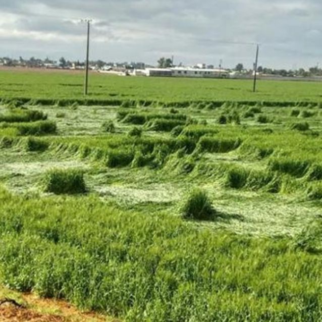 Aparecen “señales extraterrestres” en campos de Texcoco