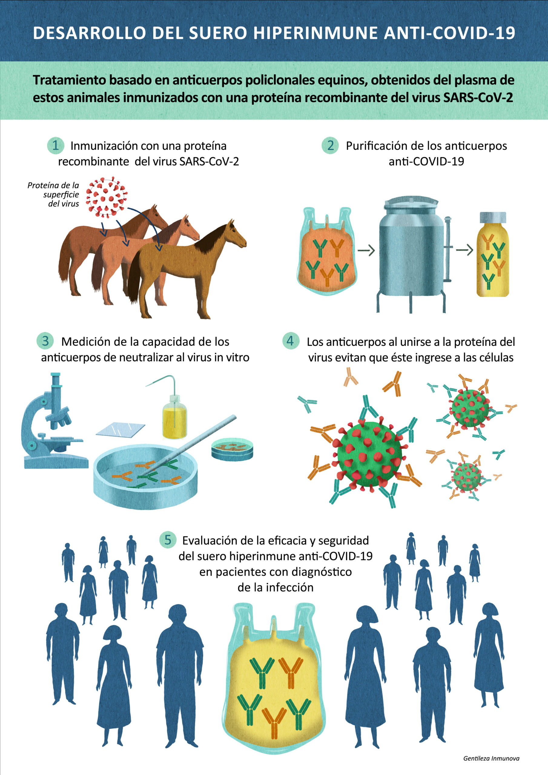 Argentina desarrolló suero para combatir el COVID-19