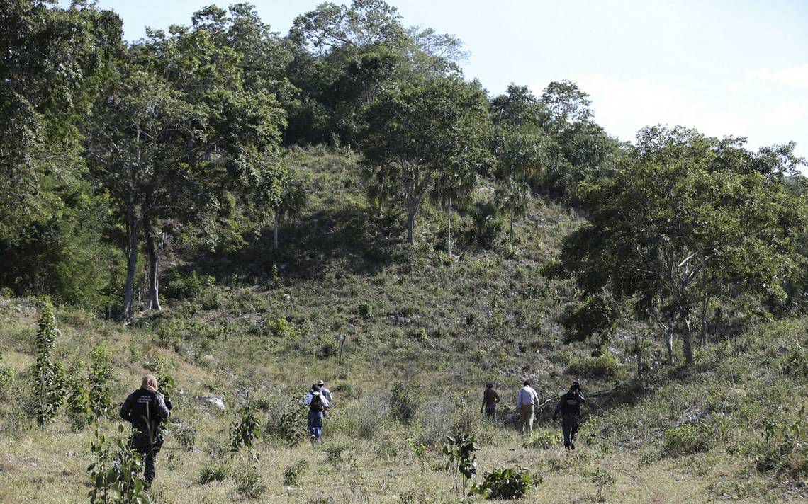 Asesinan a un hombre y su cuerpo es comido por animales, en Metepec