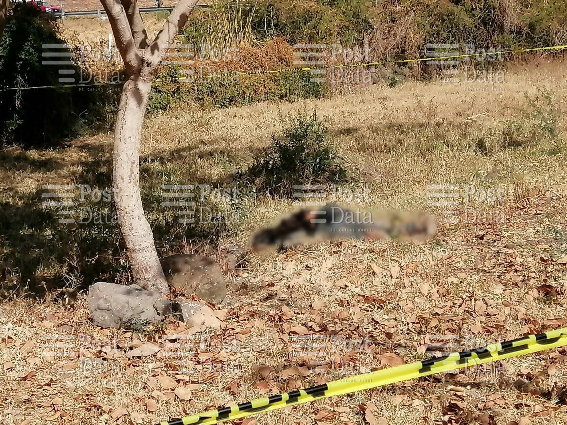 Baleado y maniatado encuentran el cadáver de un hombre en Tangamandapio