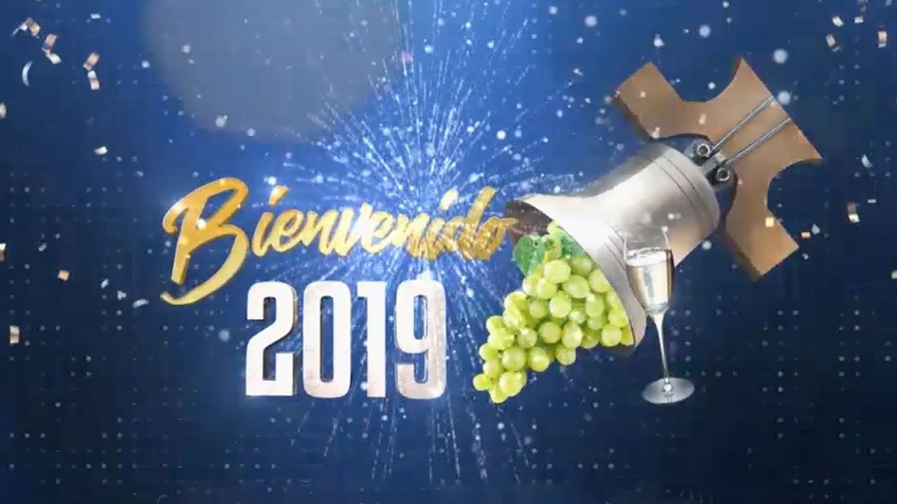 Bienvenido 2019