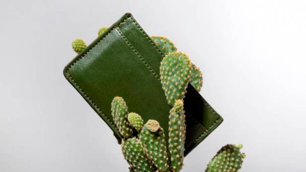 Carteras de nopal, la apuesta de un mexicano para la moda sustentable; duran hasta 10 años